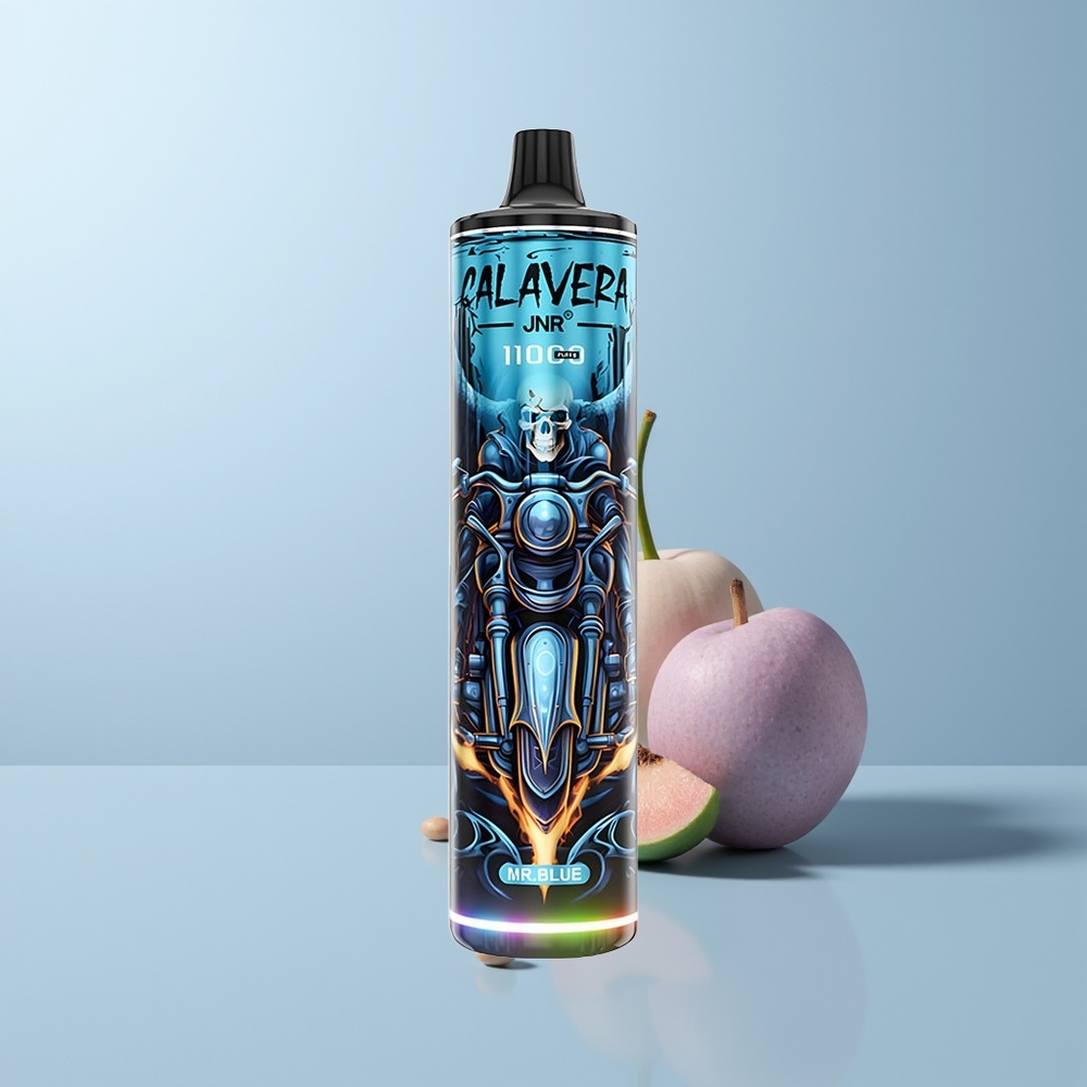 JNR Calavera 11000 Puffs De Heer Blauw Type-C 850 mAh