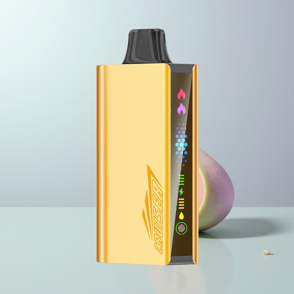 JNR Cruiser 12000 Puffs Koel Munt Dual Mesh Coil & Animation Scherm