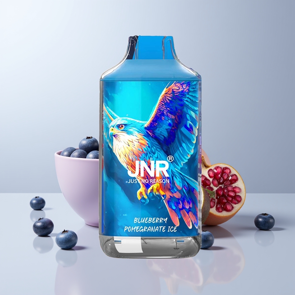 JNR Falcon 16000 Puffs Blauwe Bes Granaatappel IJs met Dual Mesh Coil & Smart LED Display