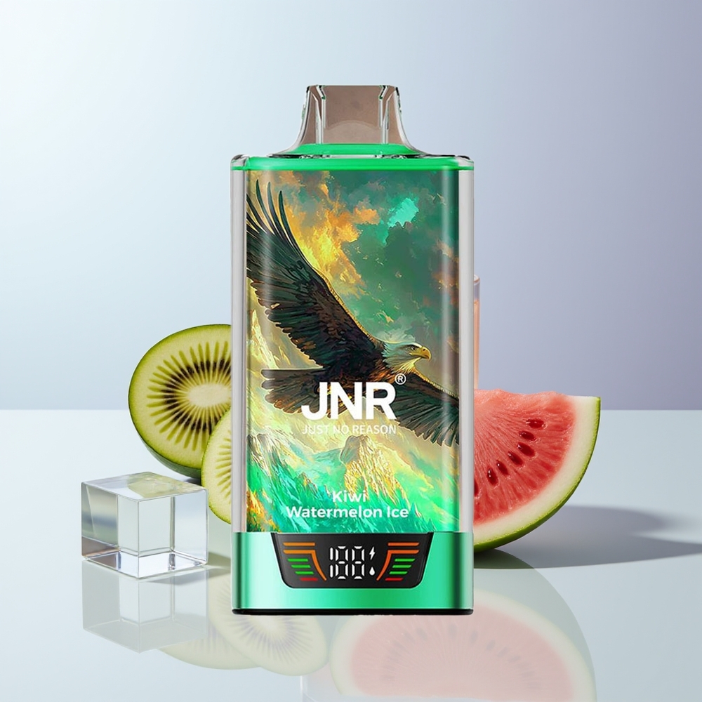 JNR Falcon Pro 28000 Puffs Kiwi Watermeloen IJs met Dual Mesh Coil en USB Type-C Opladen
