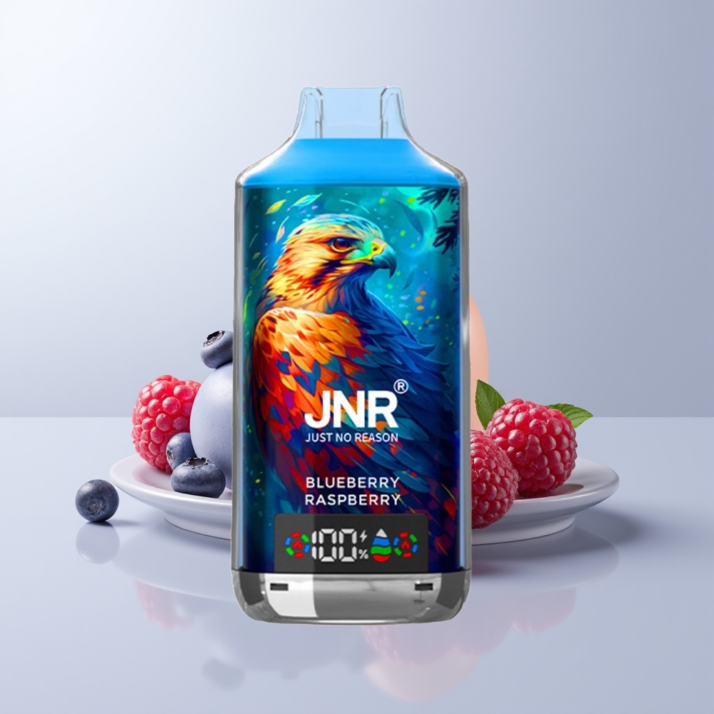 JNR Falcon X 18000 Puffs Blauwe Bes Framboos 750mAh Dual Mesh