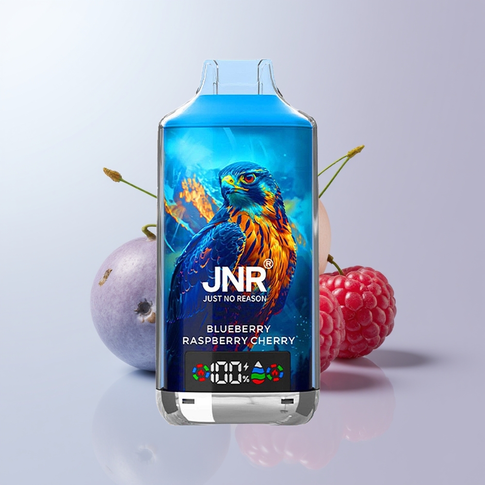 JNR Falcon X 18000 Puffs Blauwe Bes Framboos Kers Dual Mesh Digitale Weergave
