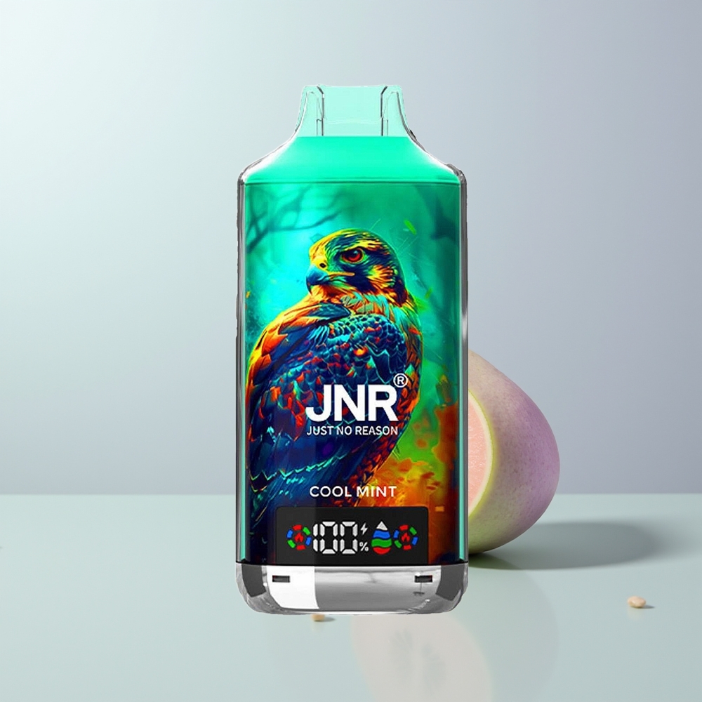 JNR Falcon X 18000 Puffs Frisse Munt 750mAh Dual Mesh