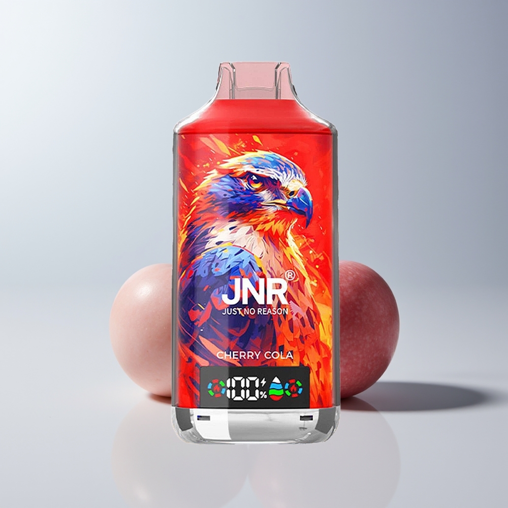 JNR Falcon X 18000 Puffs Kers Reden 750mAh Type-C Dubbel Mesh Coil