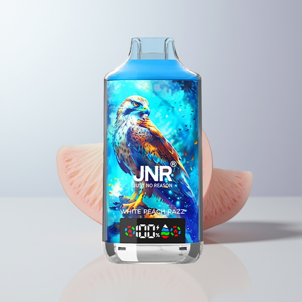 JNR Falcon X 18000 Puffs Witte Perzik Razz 24ml Dual Mesh Type-C