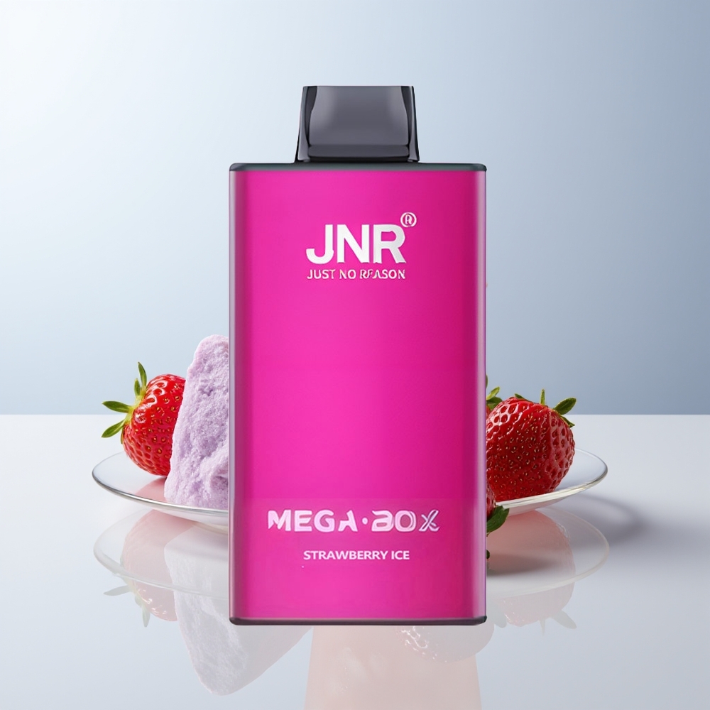 JNR Mega Box 25000 Puffs Aardbeienijs Dual Mesh & Type-C