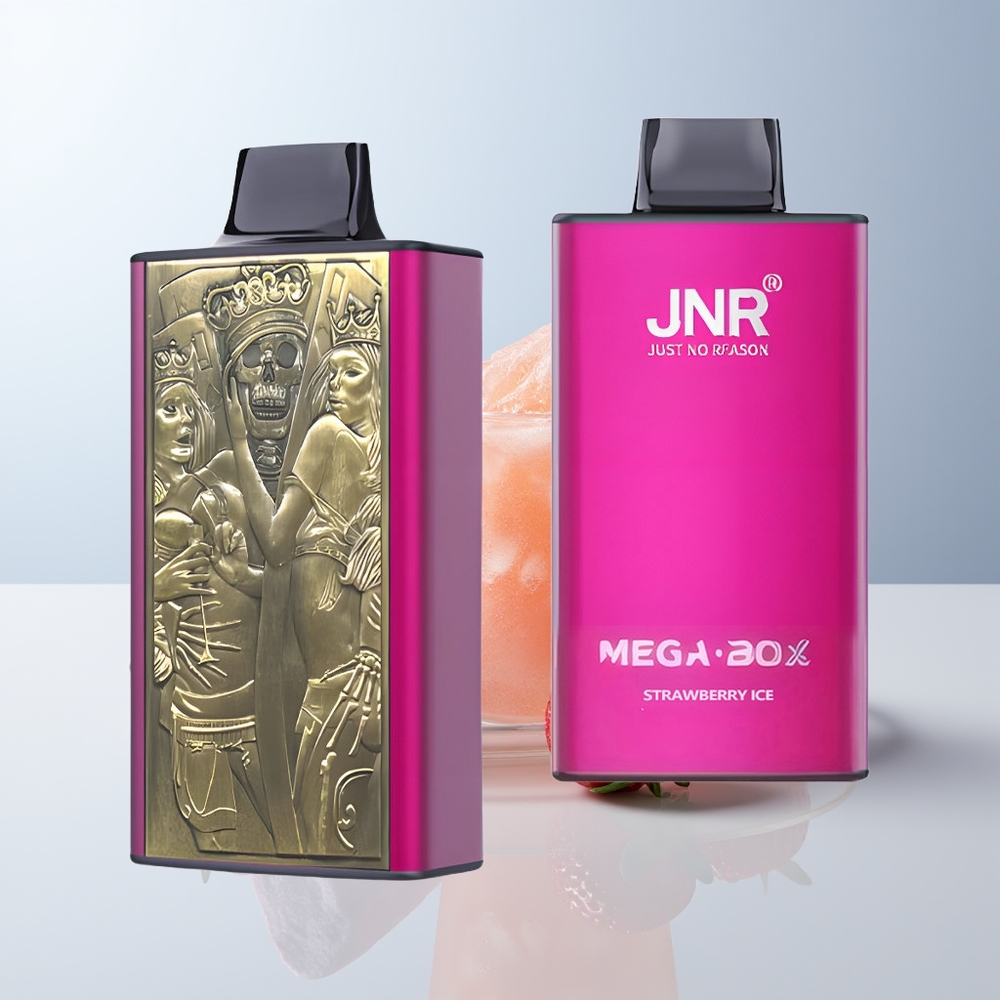 JNR Mega Box 25000 Puffs Aardbeienijs Dual Mesh & Type-C