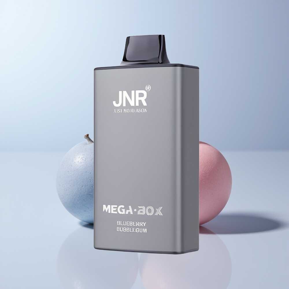 JNR Mega Box 25000 Puffs Blauwe Bes Bubblegum Dual Mesh & Type-C