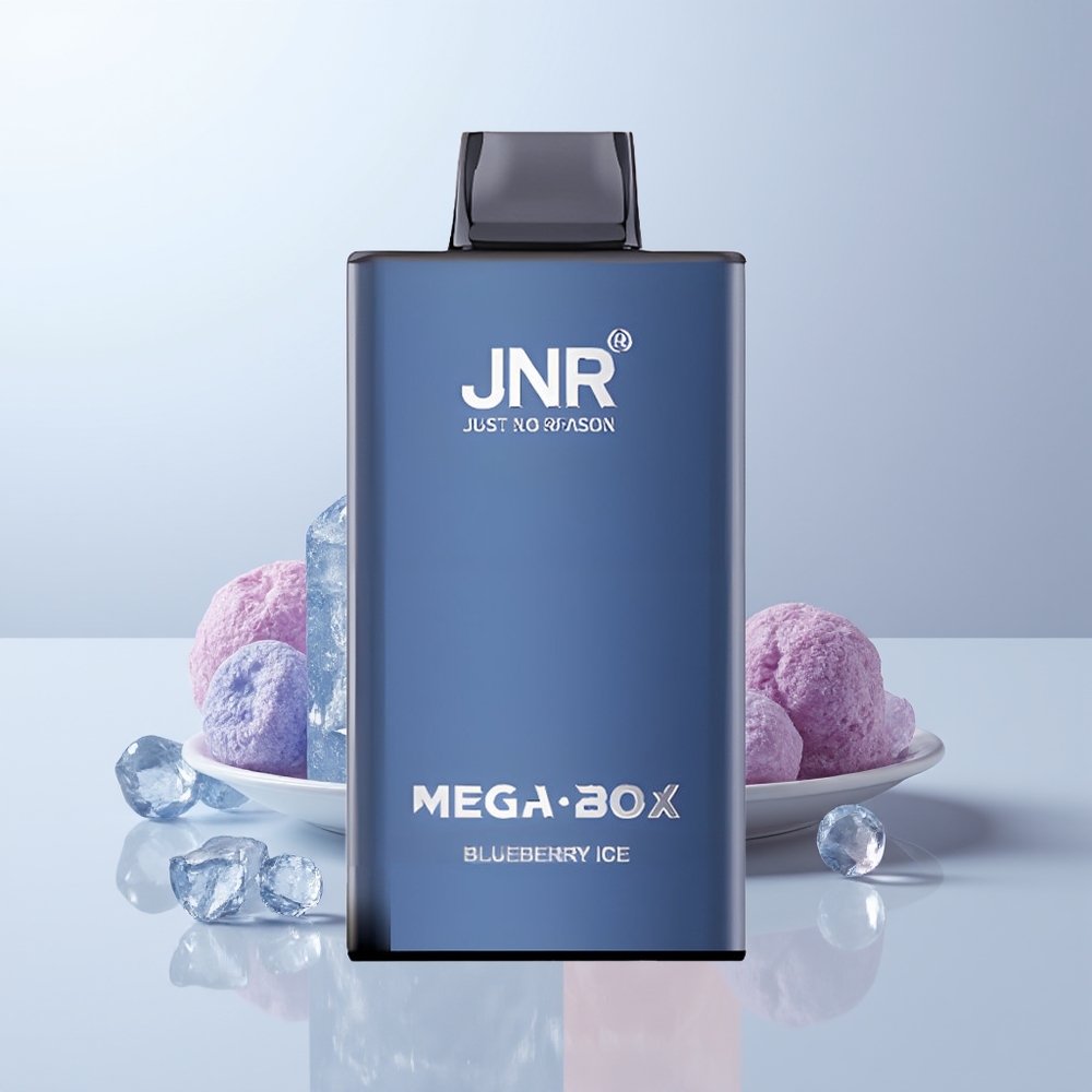 JNR Mega Box 25000 Puffs Blauwebes IJs Dual Mesh & Type-C