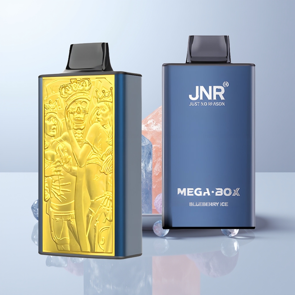 JNR Mega Box 25000 Puffs Blauwebes IJs Dual Mesh & Type-C