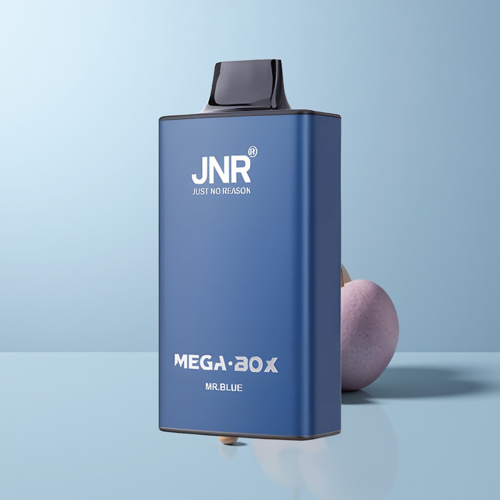 JNR Mega Box 25000 Puffs De Blauwe 30ml Dual Mesh