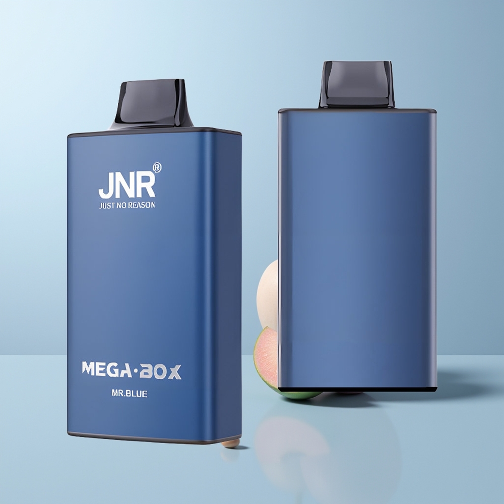 JNR Mega Box 25000 Puffs De Blauwe 30ml Dual Mesh