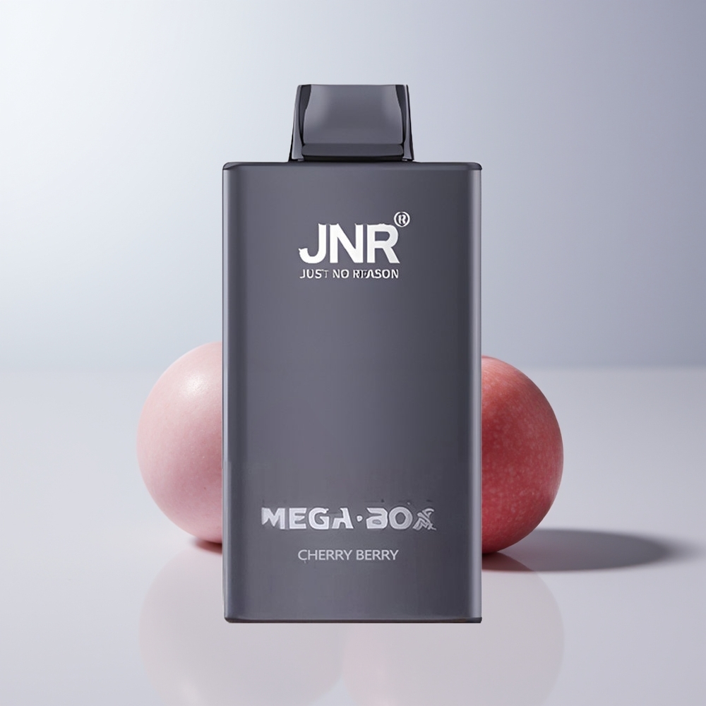 JNR Mega Box 25000 Puffs Kersbes Dual Mesh & Type-C