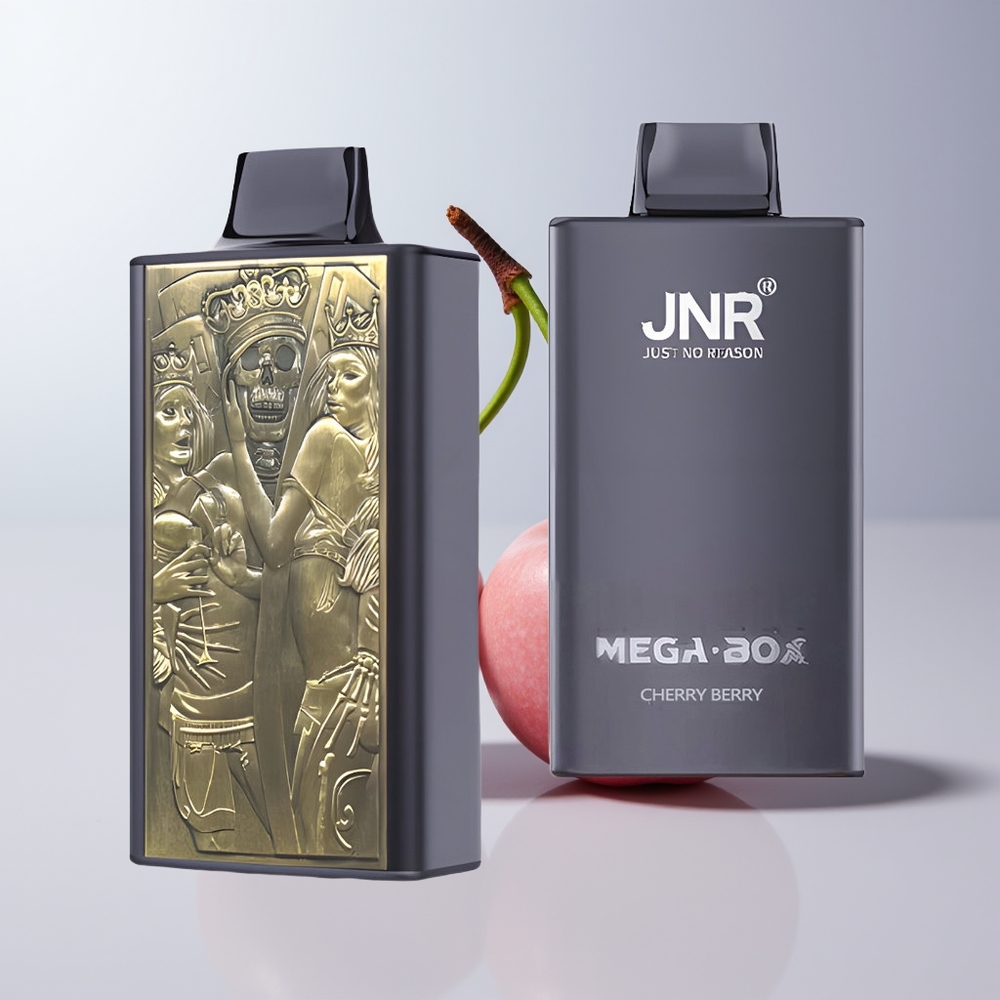 JNR Mega Box 25000 Puffs Kersbes Dual Mesh & Type-C