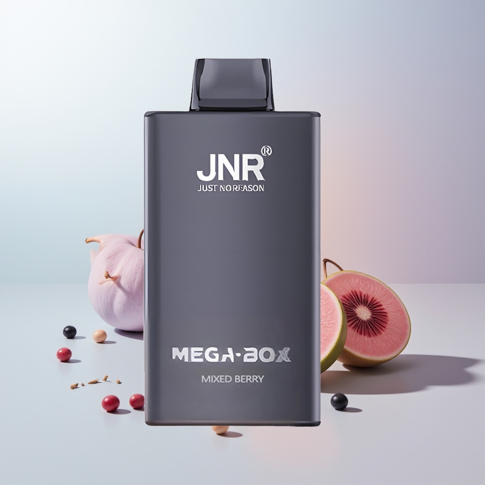 JNR Mega Box 25000 Puffs Mixed Bes Dual Mesh & Type-C