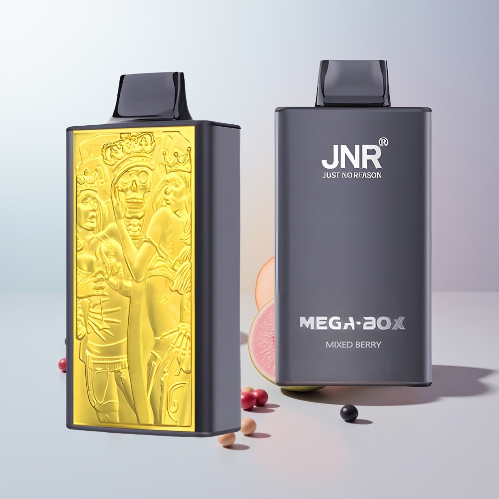 JNR Mega Box 25000 Puffs Mixed Bes Dual Mesh & Type-C