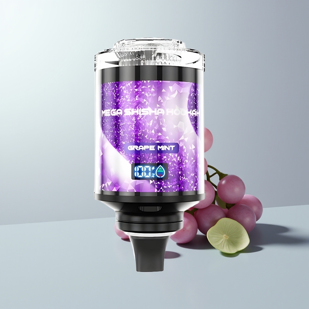 JNR Mega Shisha Hookah 100K Puffs Druif Munt 2200mAh Type-C
