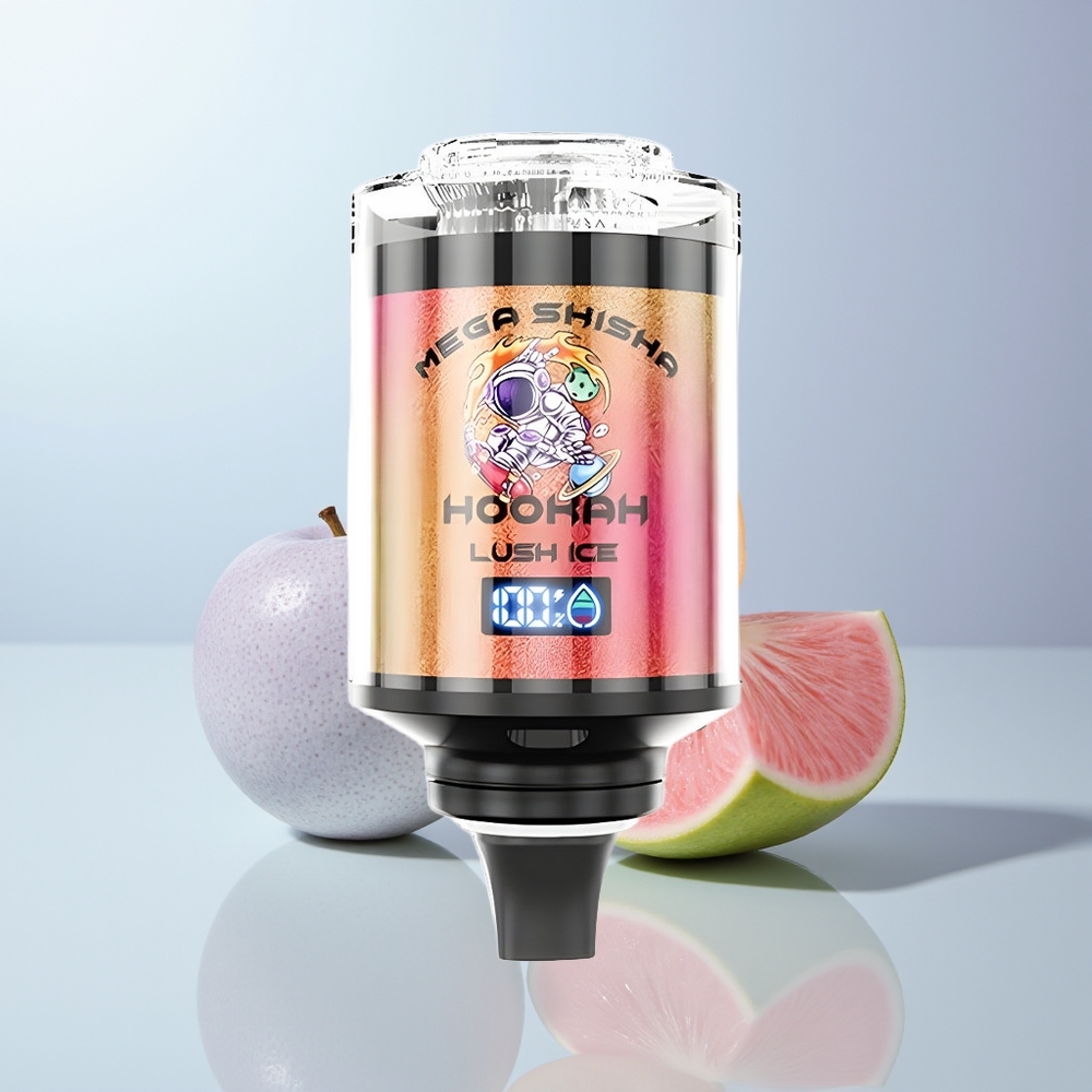 JNR Mega Shisha Hookah 100K Puffs Frisse IJs met Aanpasbare Luchtstroom en Snel Opladen