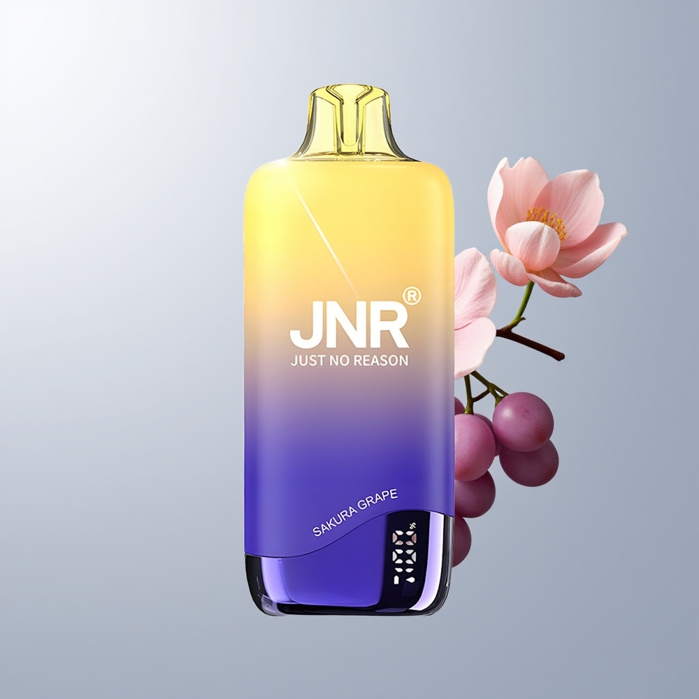 JNR Rainbow 10500 Puffs Sakura Druif Mesh Coil USB-C Opladen