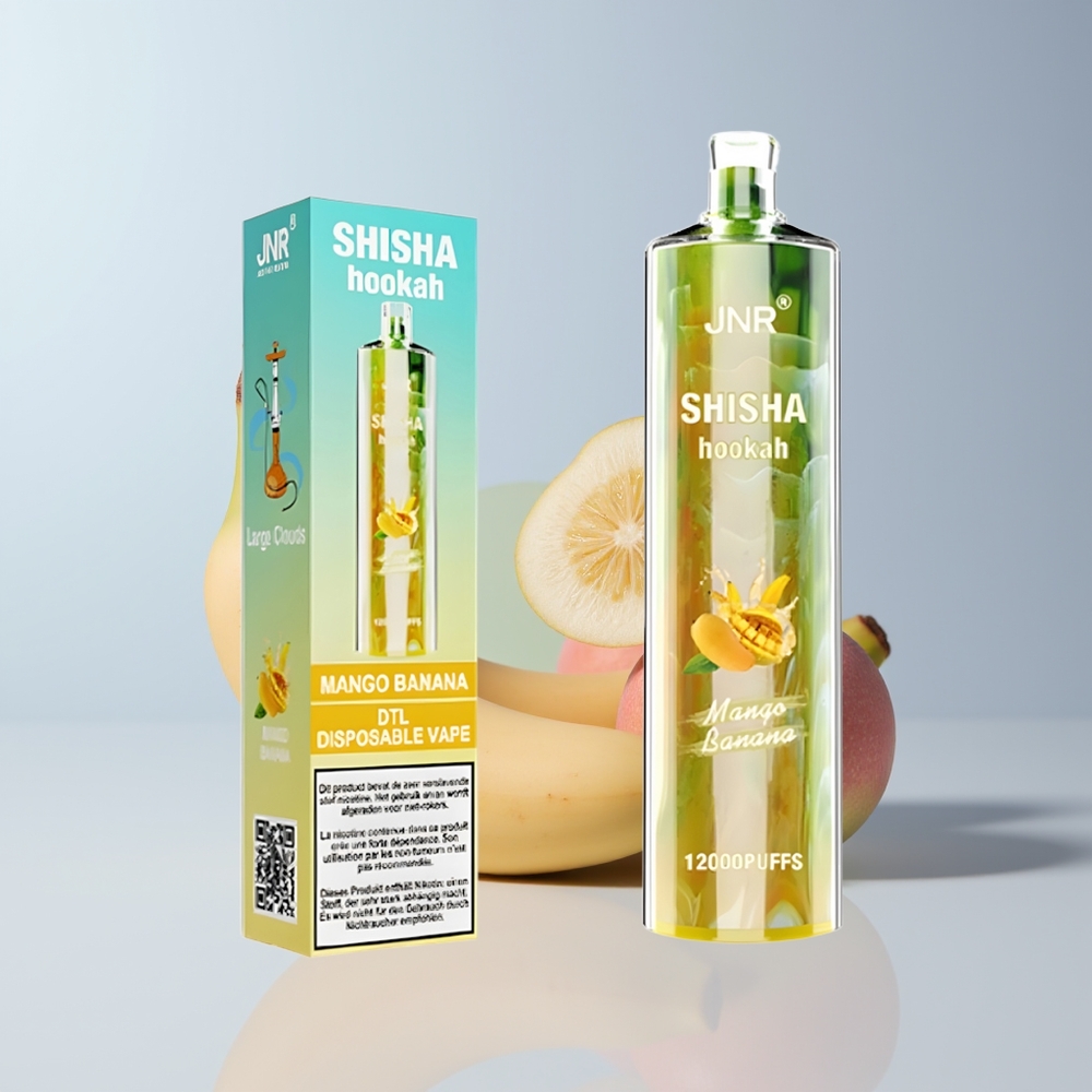 JNR Shisha Hookah 12000 Puffs Dutch Mango Banaan 750mAh Type-C