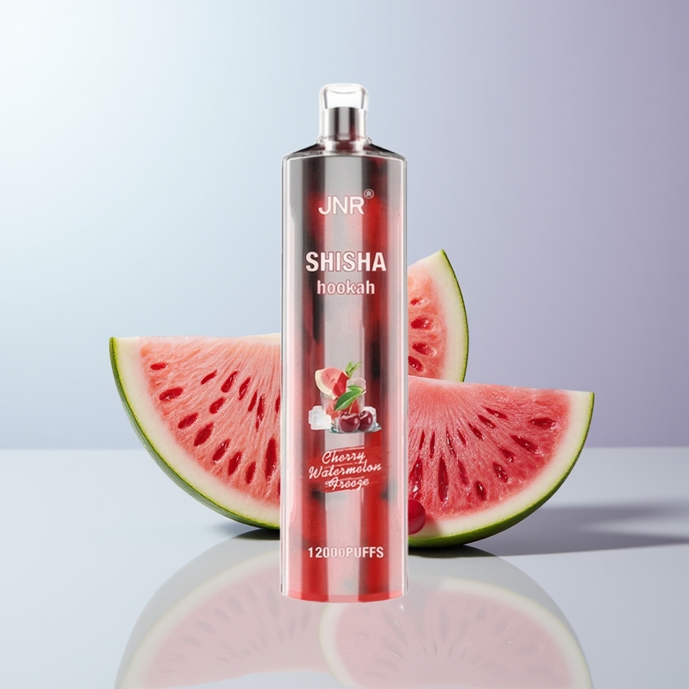 JNR Shisha Hookah 12000 Puffs Kers Watermeloen Vries met 750mAh en 24ml Vloeistof