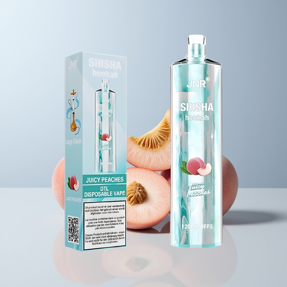 JNR Shisha Hookah 12000 Puffs Sappige Perziken 750mAh 24ml Type-C