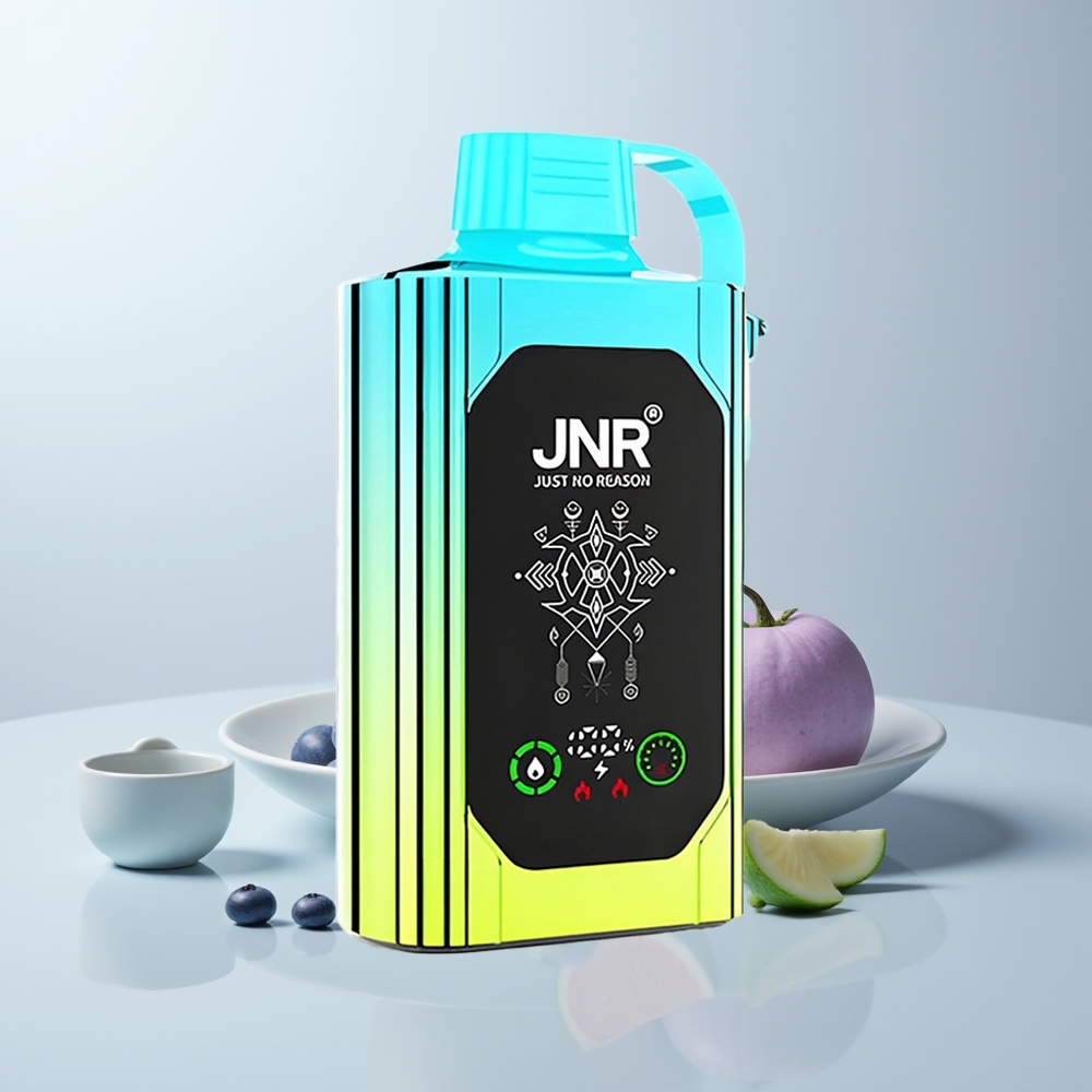 JNR Shisha Hookah Box 20500 Puffs Blueberry Munt met Dual Mesh Coil & Type-C Opladen