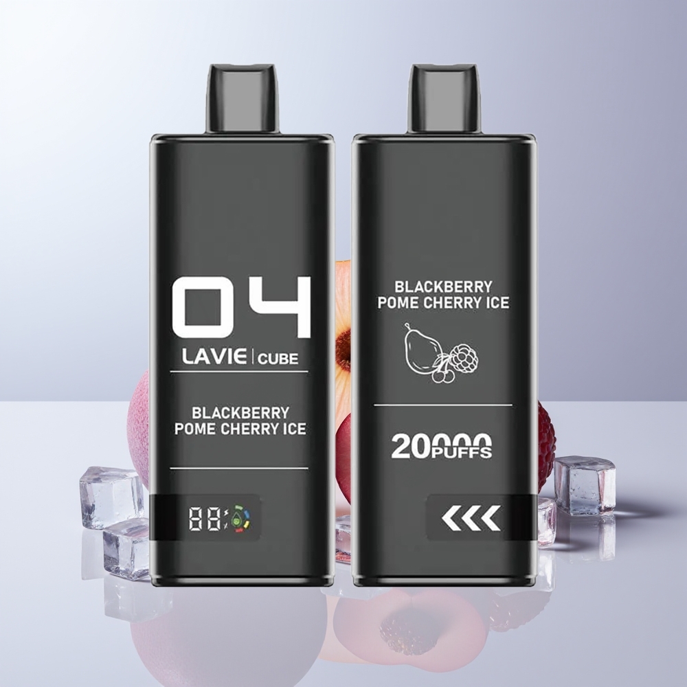 Lavie Cube 20000 Puffs Brambes Pomkers IJs 28ML Type C