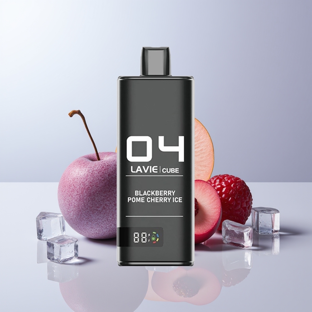Lavie Cube 20000 Puffs Brambes Pomkers IJs 28ML Type C