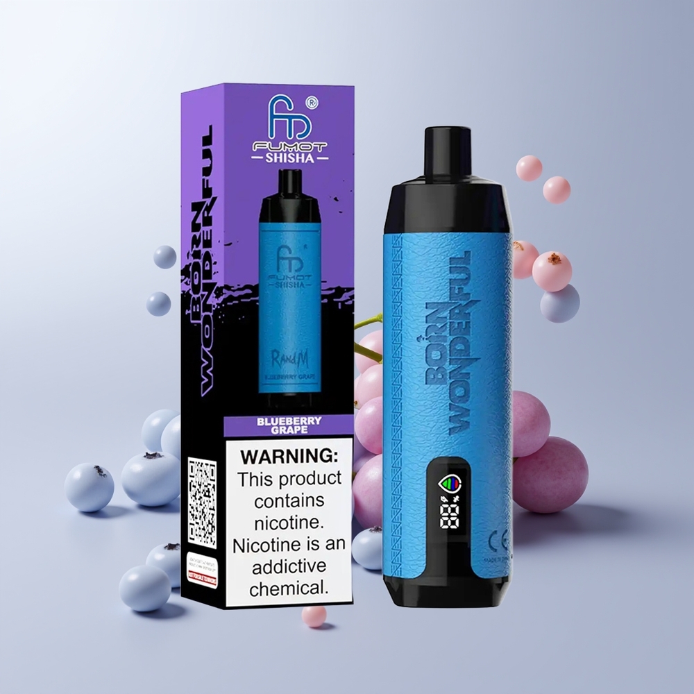RandM Fumot Shisha 10000 Puffs Blauwe Bosbes Druif LED Mesh