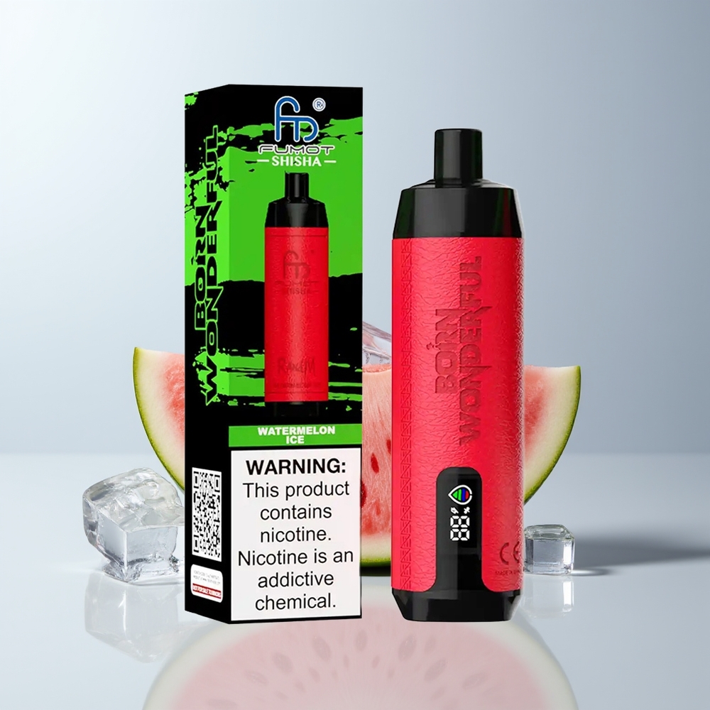 RandM Fumot Shisha 10000 Puffs Watermeloen IJs met LED en Mesh Coil