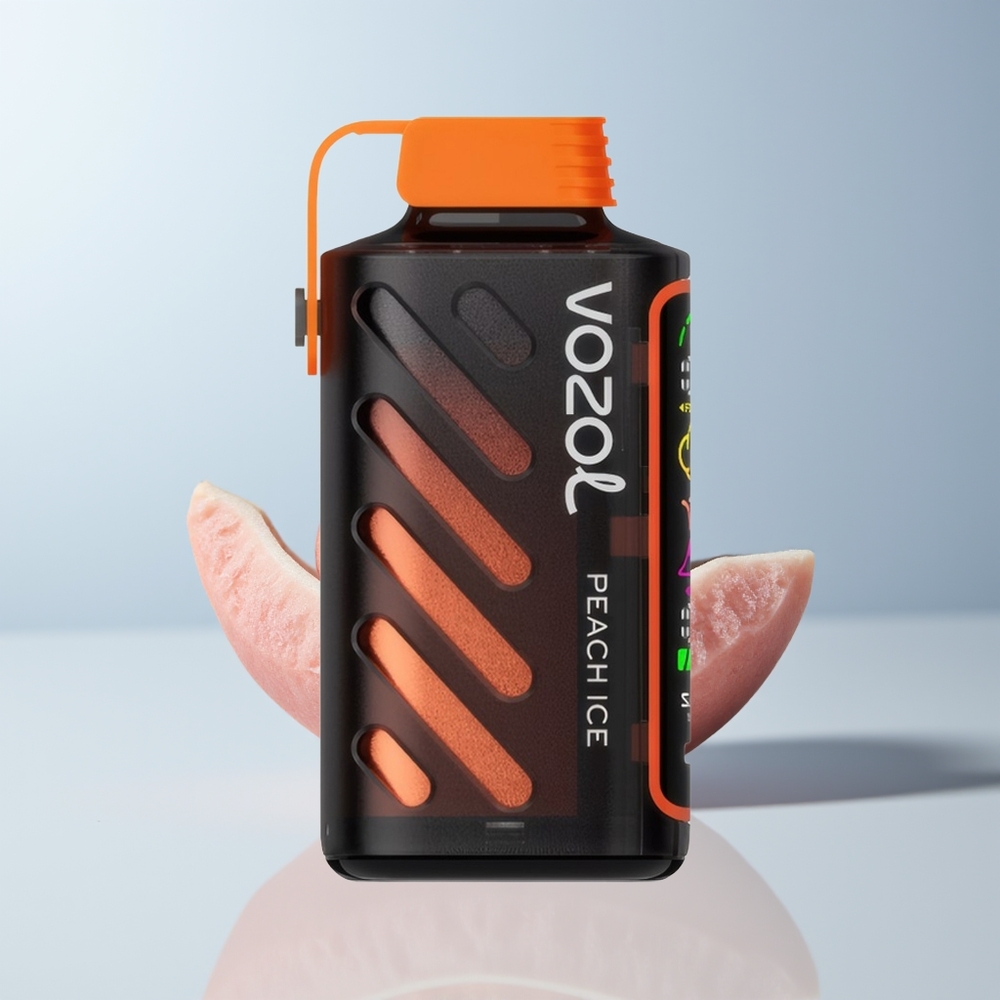 VOZOL Gear Power 20000 Puffs Perzijs IJs met Dual Mesh Coil en Full Screen Display