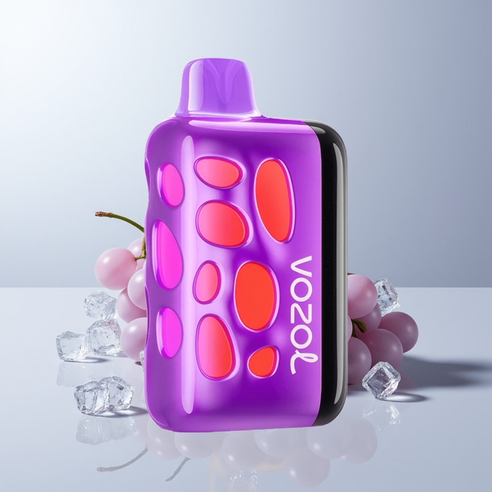 VOZOL RAVE 40000 Puffs Druif IJs Vibe Opladen