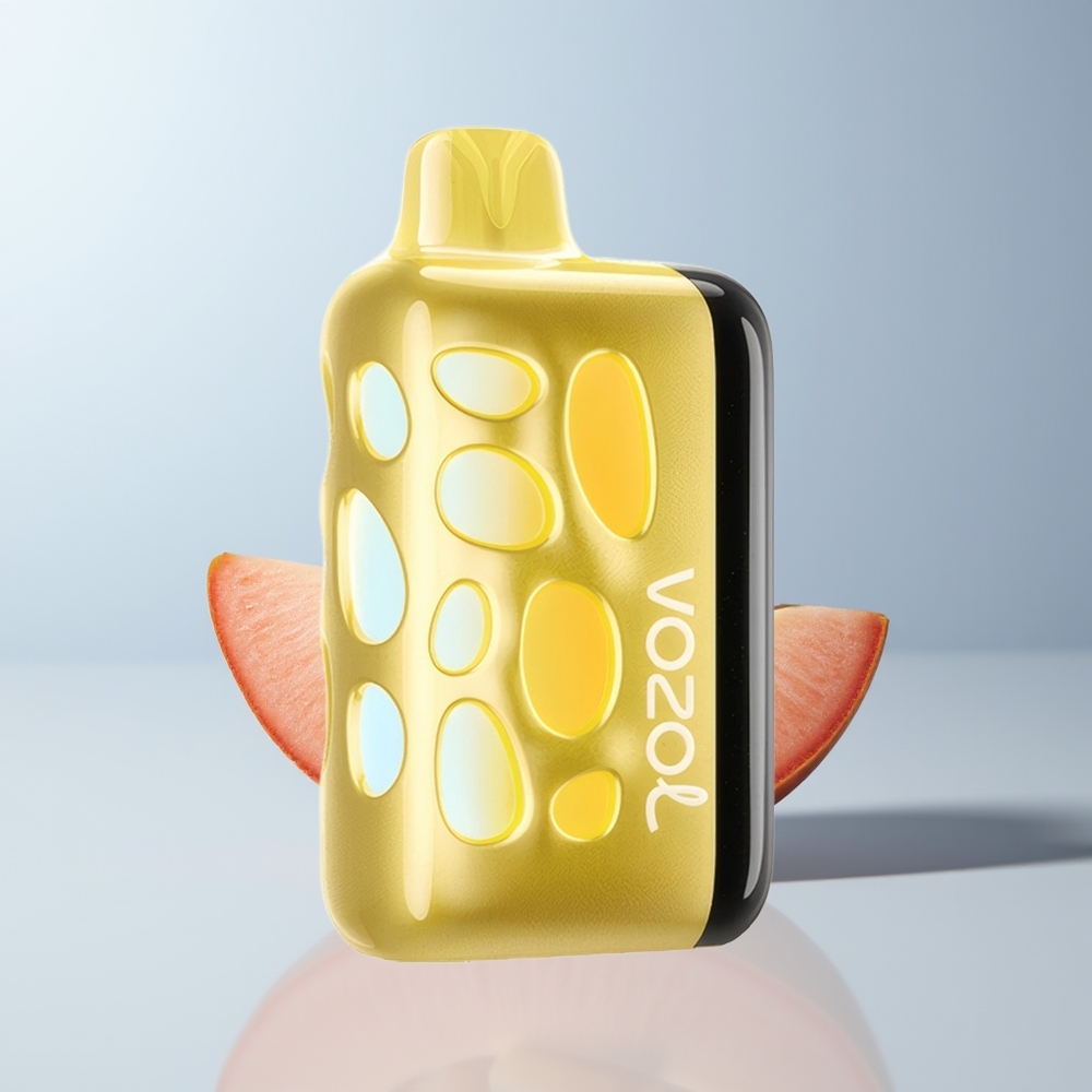 VOZOL RAVE 40000 Puffs Mango IJs met Vibrerend Licht en Opladen in 20 Min