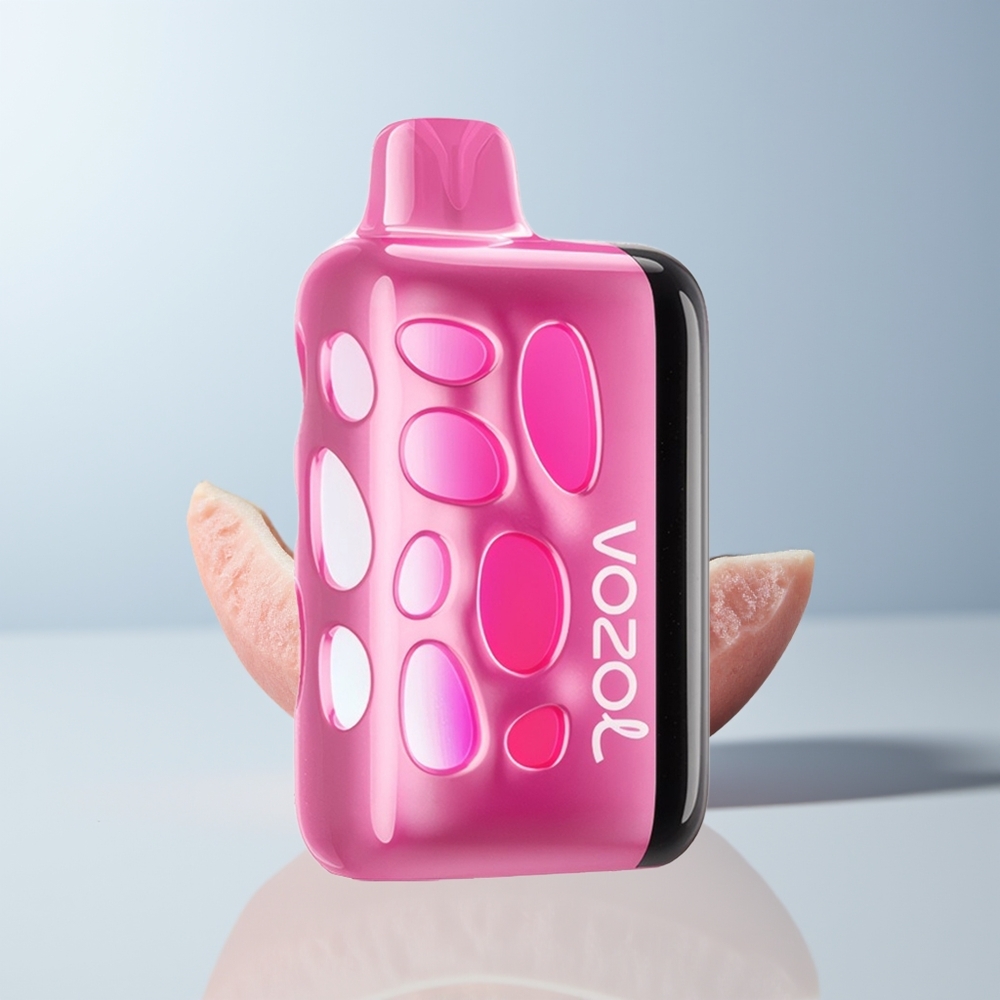 VOZOL RAVE 40000 Puffs Perzijs IJs Gloed Oplaadmodus