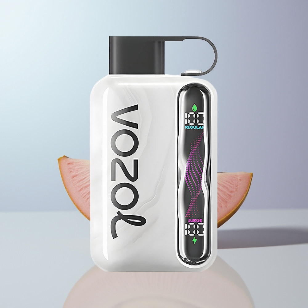 VOZOL STAR 40000 Puffs 1000mAh 20/50mg/ml Type-C Wegwerp Vape