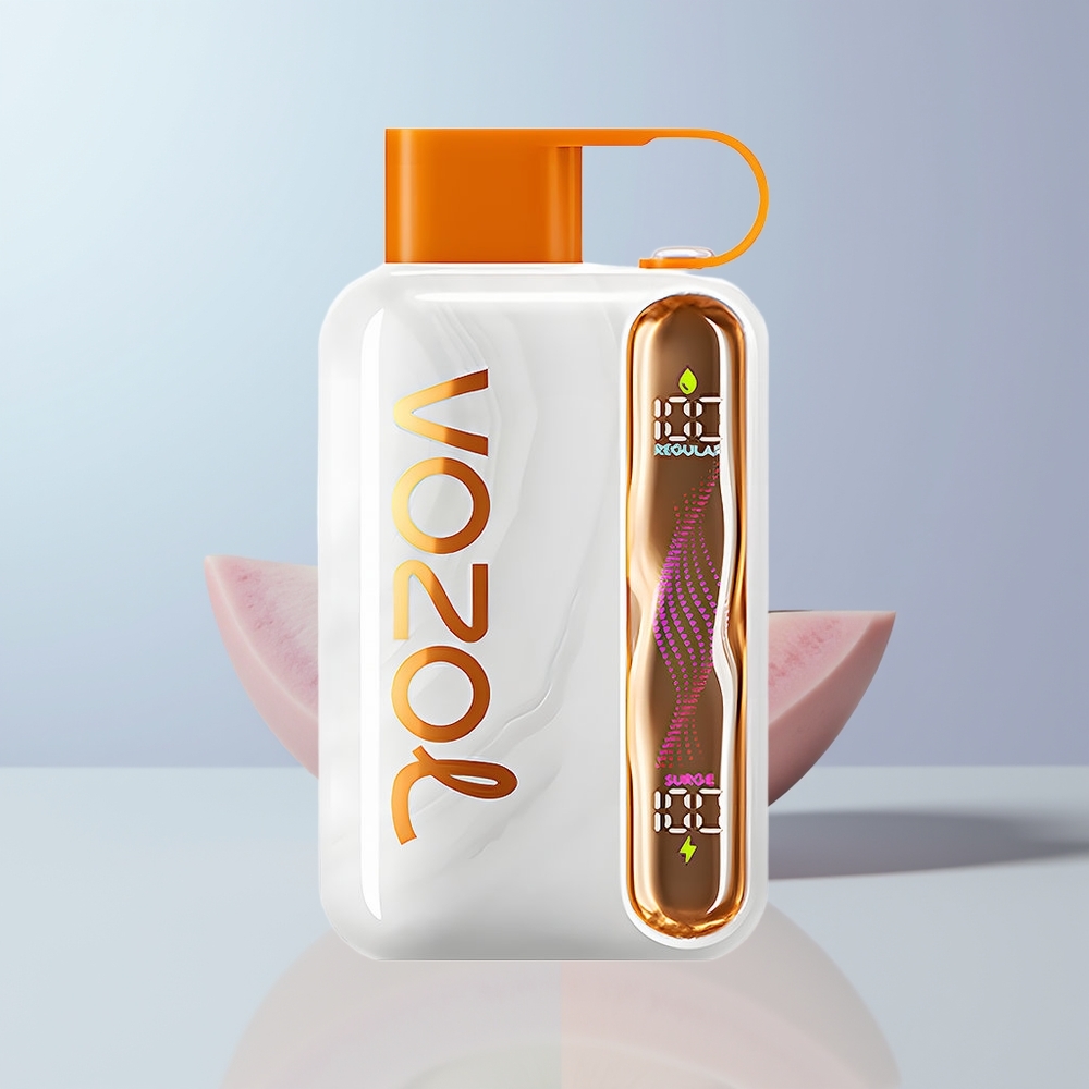 VOZOL STAR 40000 Puffs 1000mAh 20/50mg/ml Wegwerp Vape