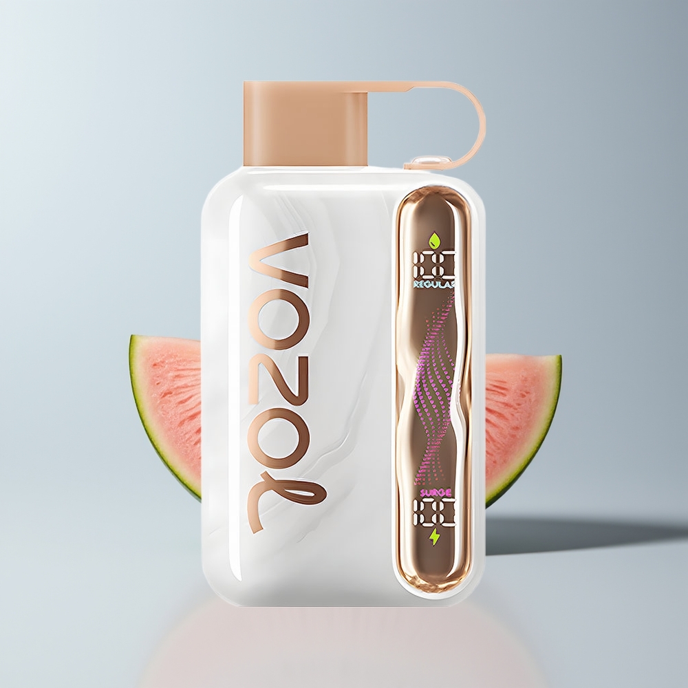 VOZOL STAR 40000 Puffs AardbeiMeloen Perzik 1000mAh Type-C