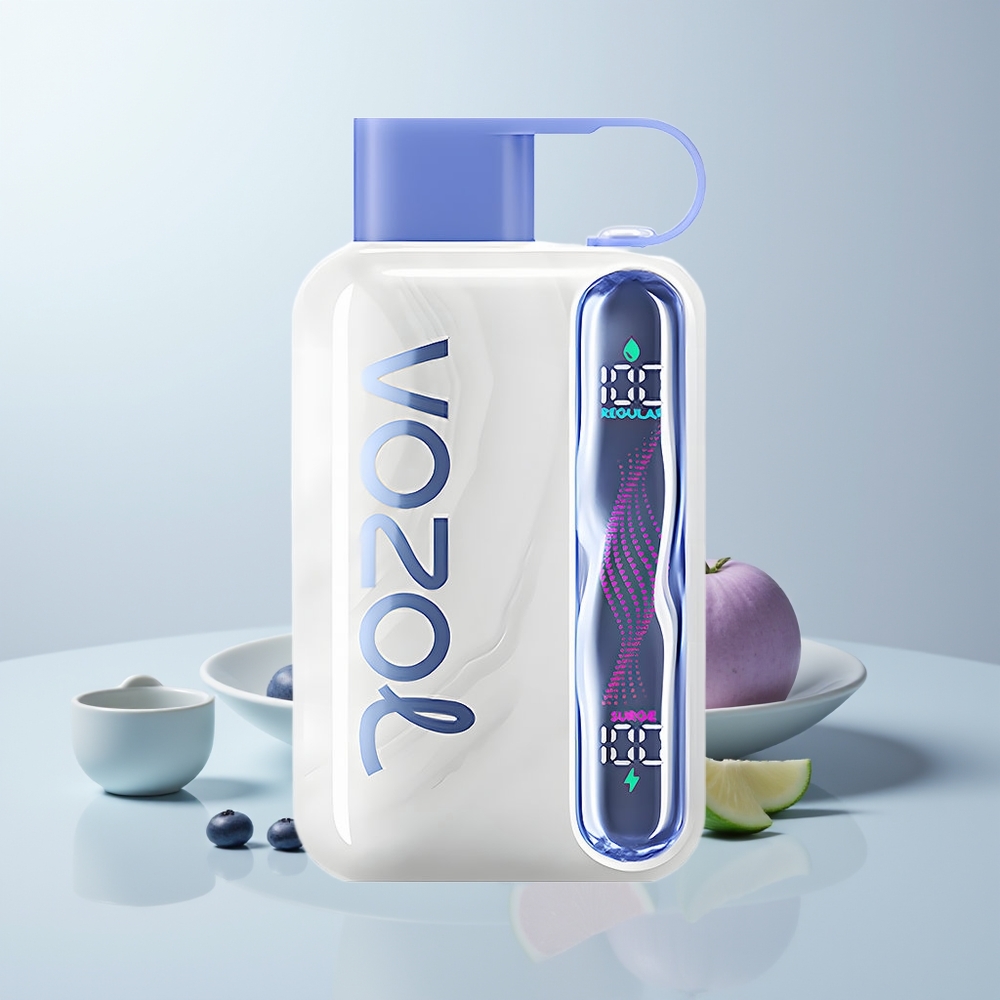 VOZOL STAR 40000 Puffs Blauwe Bes Munt 1000mAh Type-C 20/50mg