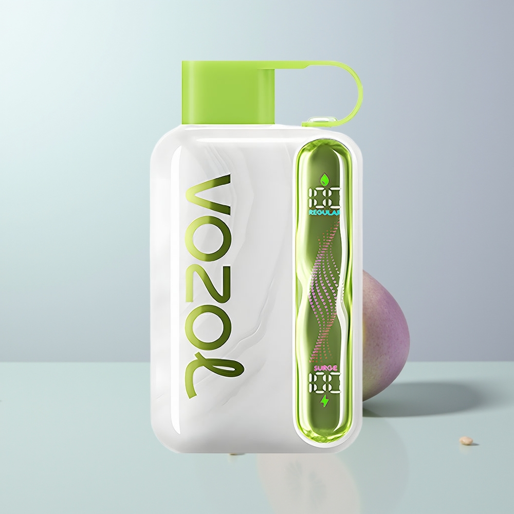 VOZOL STAR 40000 Puffs Koele Munt 1000mAh Type-C
