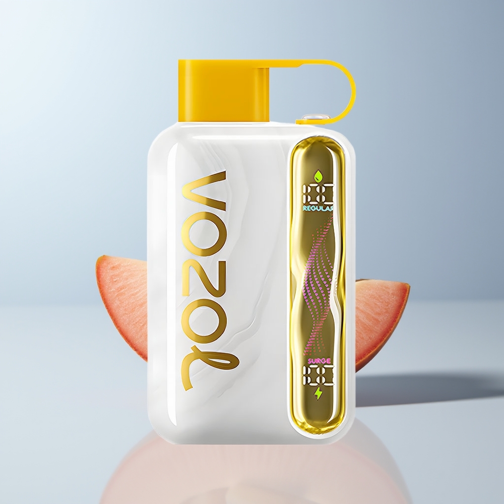 VOZOL STAR 40000 Puffs Mango IJszee 1000mAh 20/50mg/ml