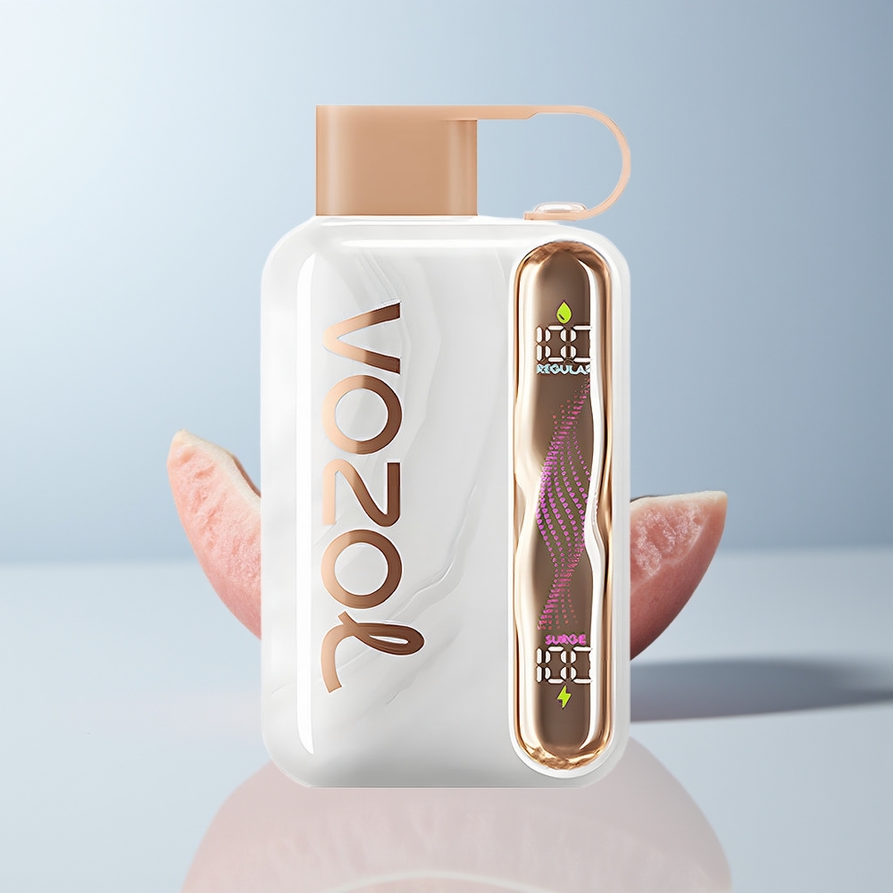 VOZOL STAR 40000 Puffs Perzijs IJs 1000mAh Type-C