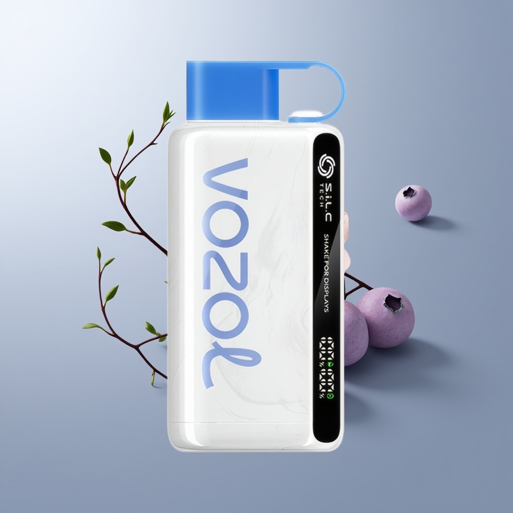 VOZOL STAR 9000/12000 Puffs Blauwebes Storm met Snel Opladen en Gerecycled Plastic