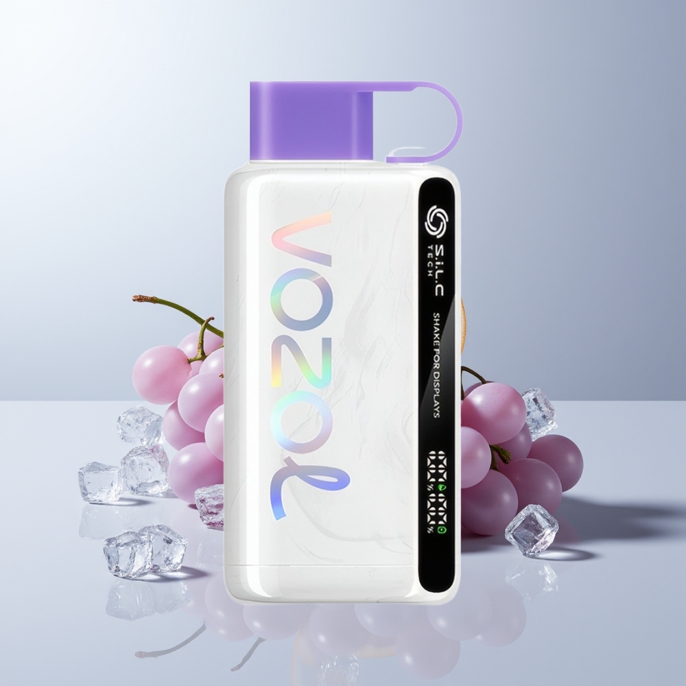 VOZOL STAR 9000/12000 Puffs Druiven IJs met Snel Opladen en Schudden voor Weergave