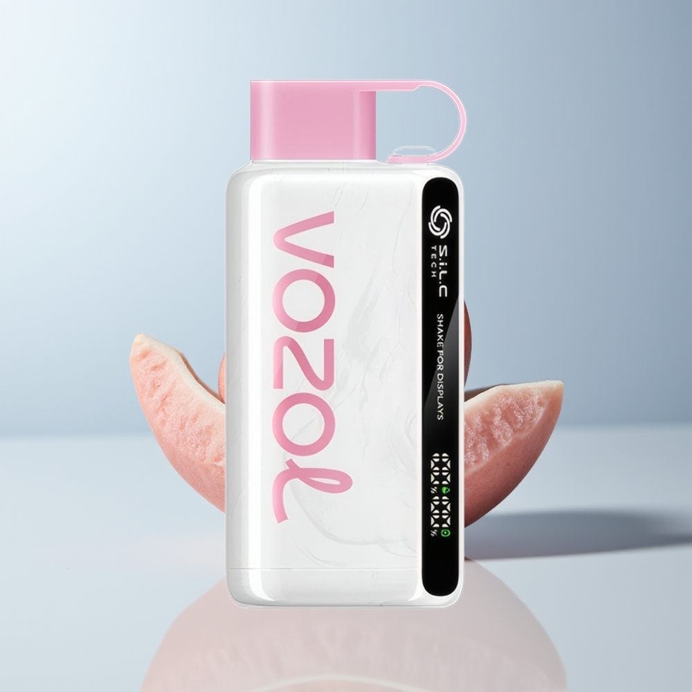 VOZOL STAR 9000/12000 Puffs Perzik IJs met Schudden en Snelle Oplading