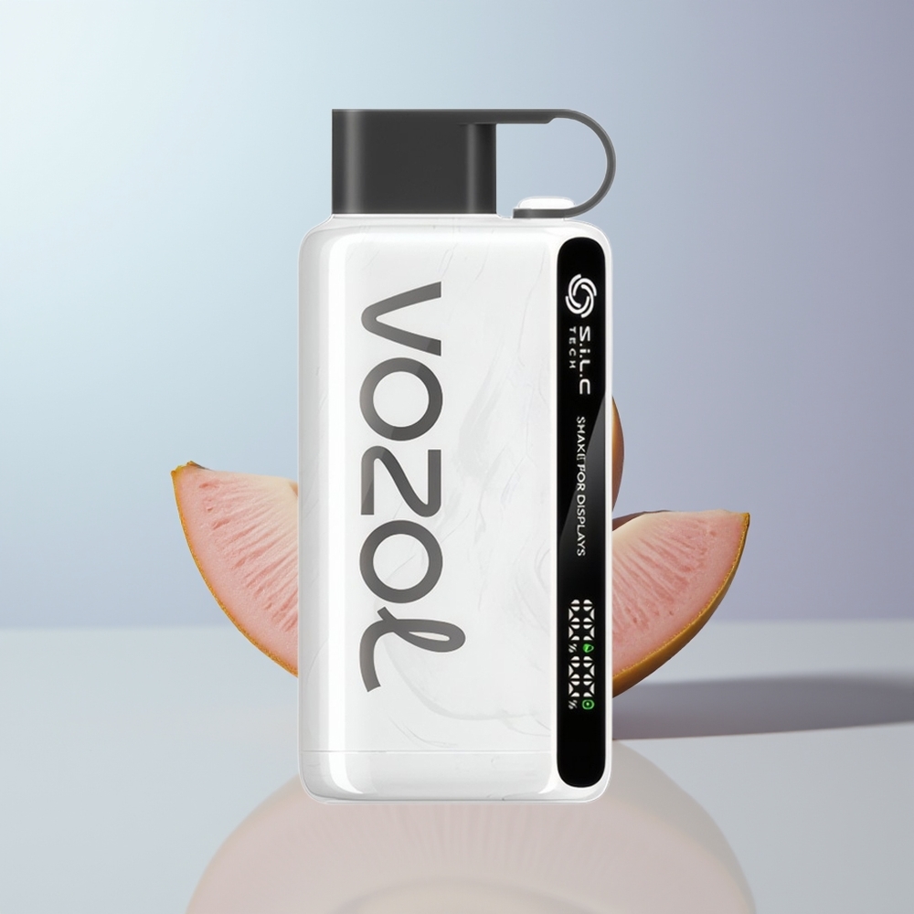VOZOL STAR 9000/12000 Puffs Wegwerp Vape met Schudden voor Display en Snel Opladen