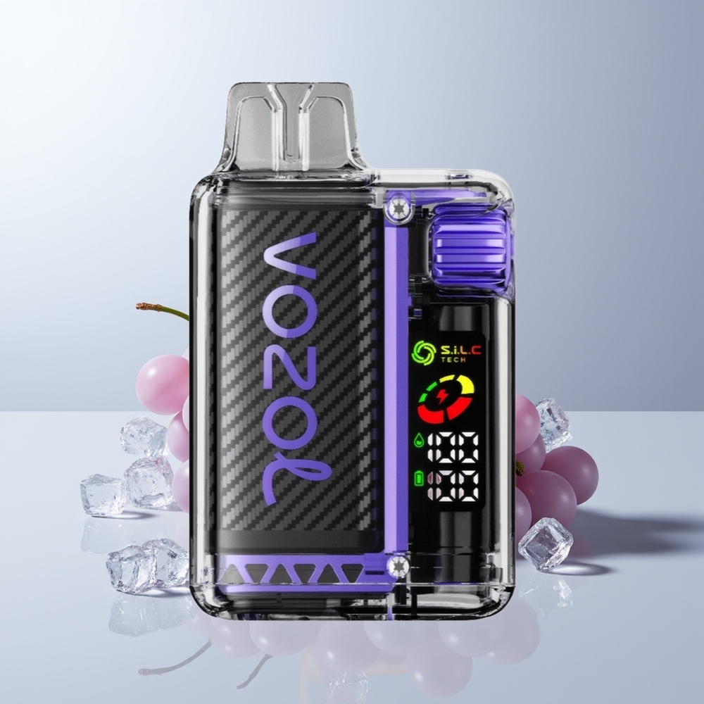 VOZOL Vista 20000 Puffs Druif IJs met OLED Scherm en 6-Watt Aanpassing