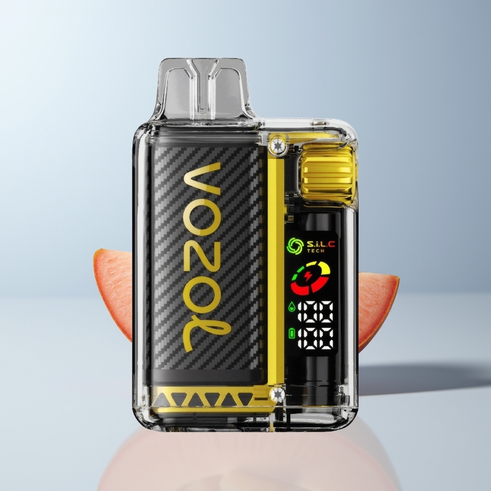 VOZOL Vista 20000 Puffs Mango IJs Met OLED Scherm en Herbruikbare Kit